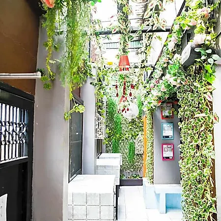 Bangkok Canale Home @Khao San
